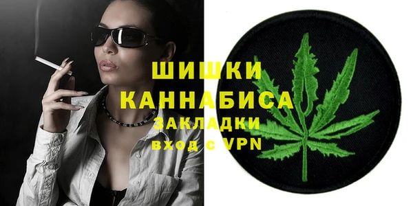 PSILOCYBIN Алзамай